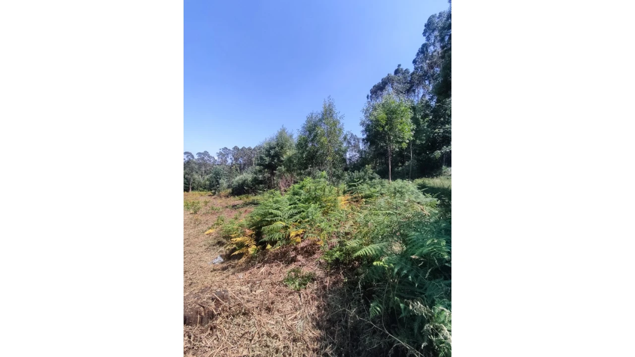 Terreno Agricola ou Rústico para Venda em Pedroso e Seixezelo Foto 2