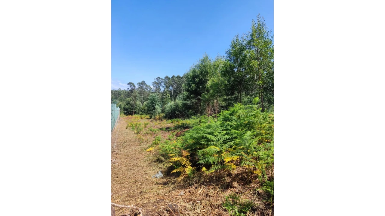 Terreno Agricola ou Rústico para Venda em Pedroso e Seixezelo Foto 4