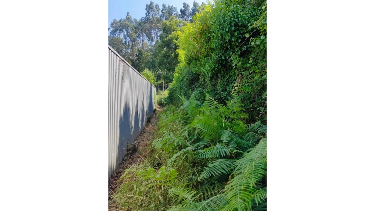 Terreno Agricola ou Rústico para Venda em Pedroso e Seixezelo Foto 5