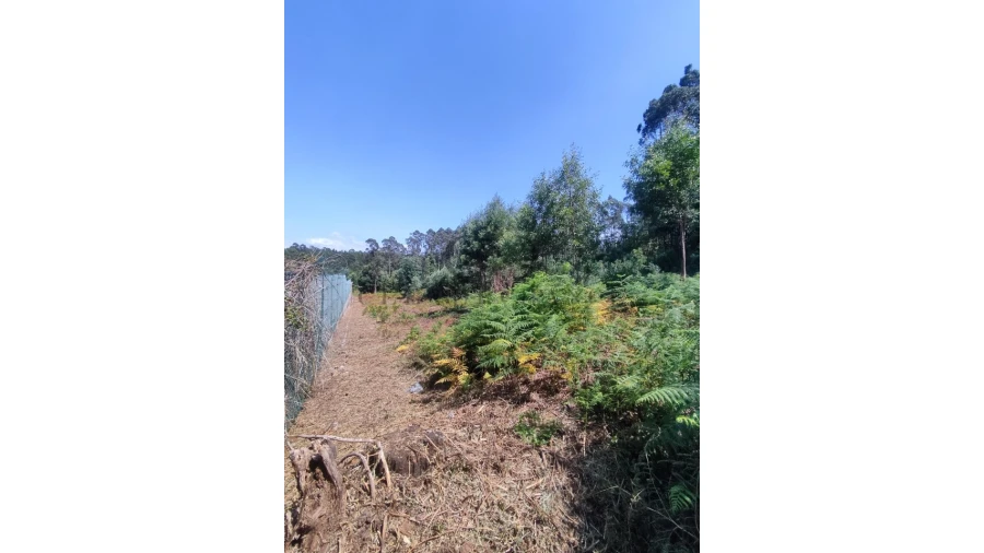 Terreno Agricola ou Rústico para Venda em Pedroso e Seixezelo Foto 3