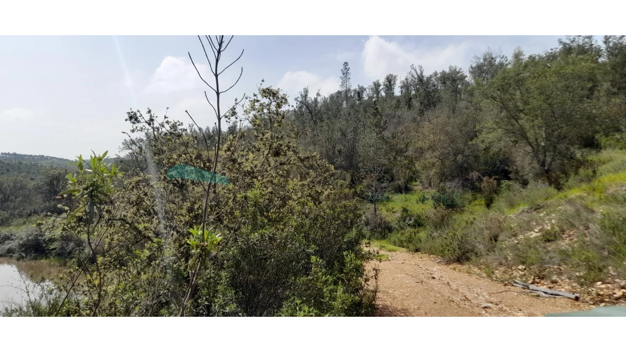 Terreno para Venda em Saboia Foto 2