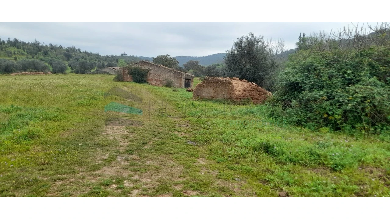 Terreno para Venda em Saboia Foto 5