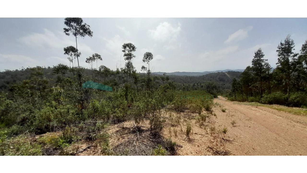 Terreno para Venda em Saboia Foto 7