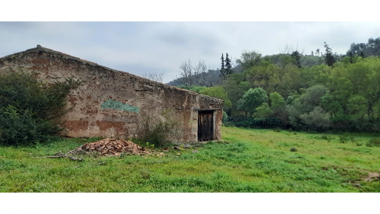 Terreno para Venda em Saboia Foto 8