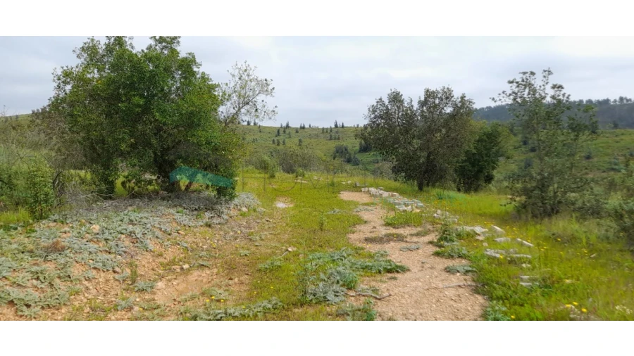 Terreno para Venda em Saboia Foto 3