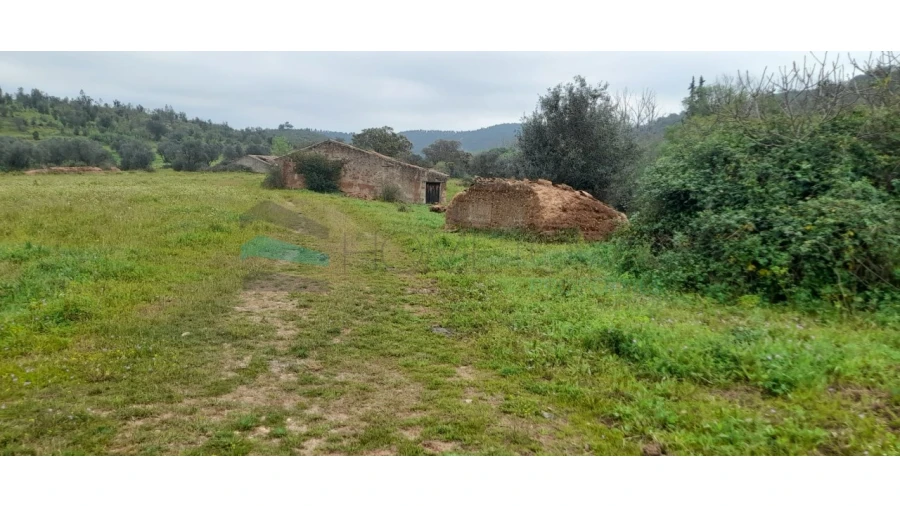 Terreno para Venda em Saboia Foto 5