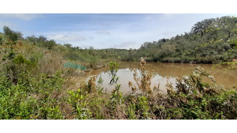 Terreno para Venda em Saboia Foto 6