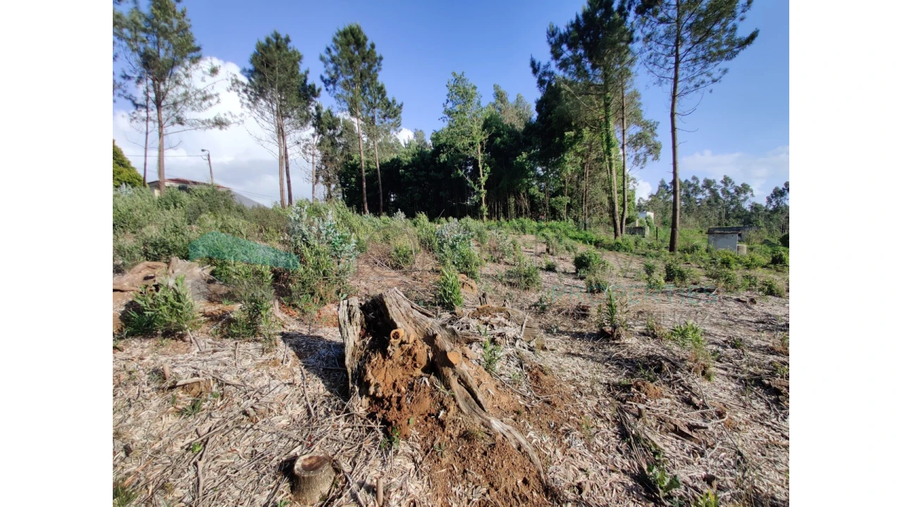 Terreno para Venda em Grijó e Sermonde Foto 2