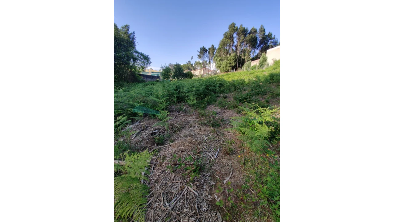 Terreno para Venda em Grijó e Sermonde Foto 5