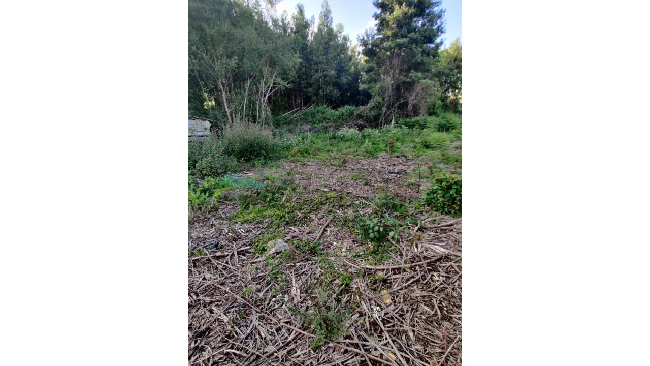 Terreno para Venda em Grijó e Sermonde Foto 6