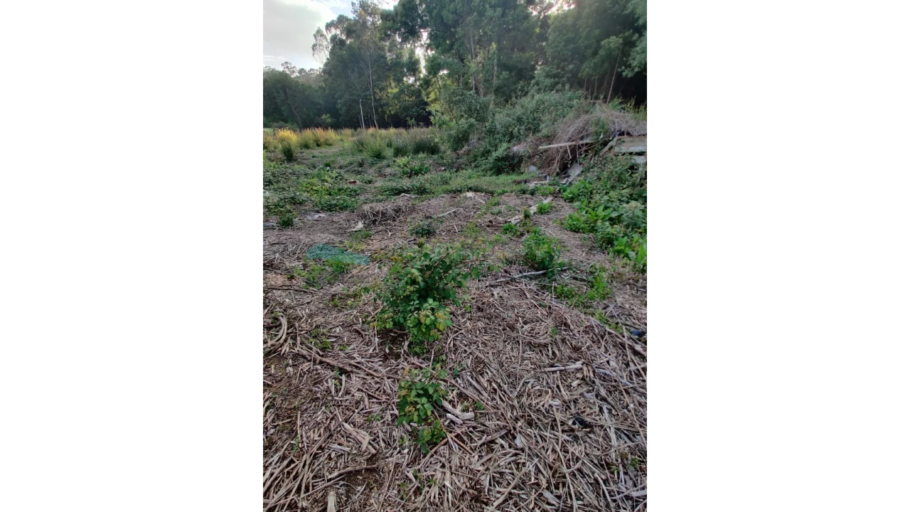 Terreno para Venda em Grijó e Sermonde Foto 7
