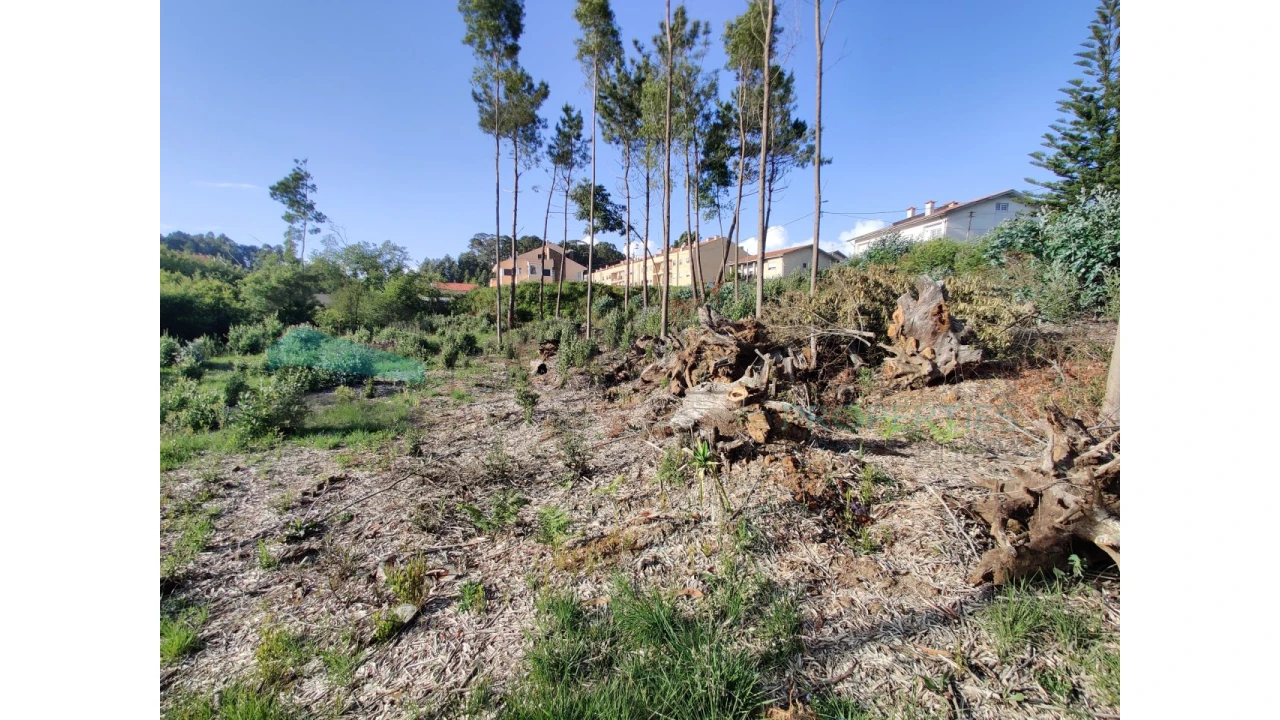 Terreno para Venda em Grijó e Sermonde Foto 9