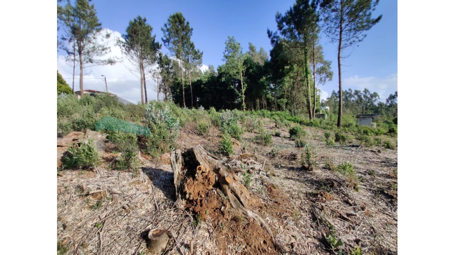 Terreno para Venda em Grijó e Sermonde Foto 2