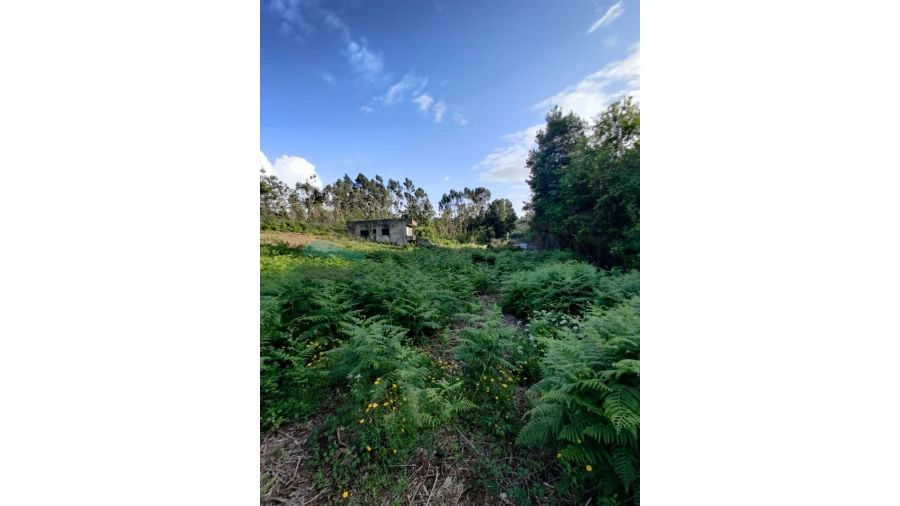 Terreno para Venda em Grijó e Sermonde Foto 3