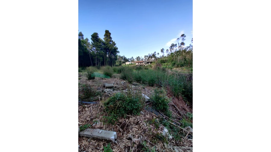 Terreno para Venda em Grijó e Sermonde Foto 8
