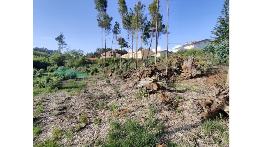 Terreno para Venda em Grijó e Sermonde Foto 9