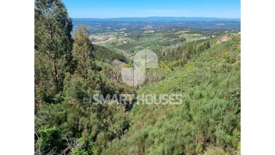 Terreno para Venda em Cerdeira e Moura da Serra Foto 3
