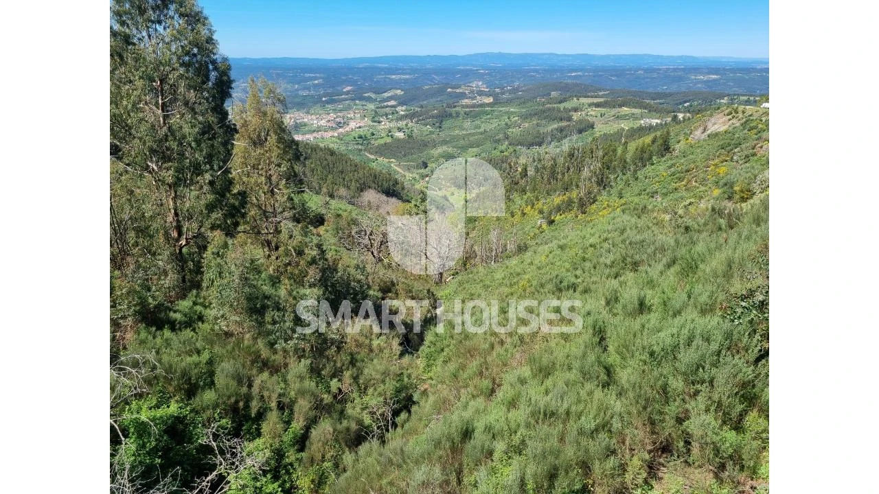 Terreno para Venda em Cerdeira e Moura da Serra Foto 3