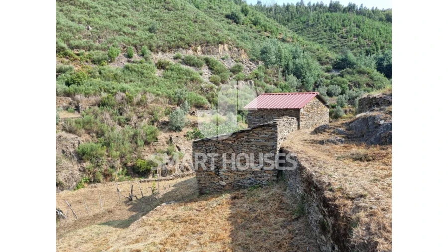 Quinta para Venda em Benfeita Foto 3