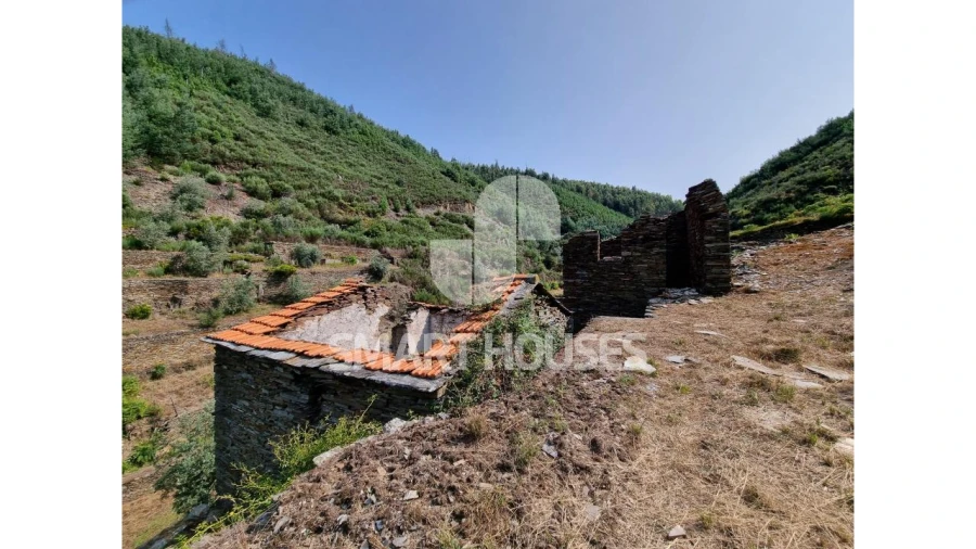 Quinta para Venda em Benfeita Foto 6