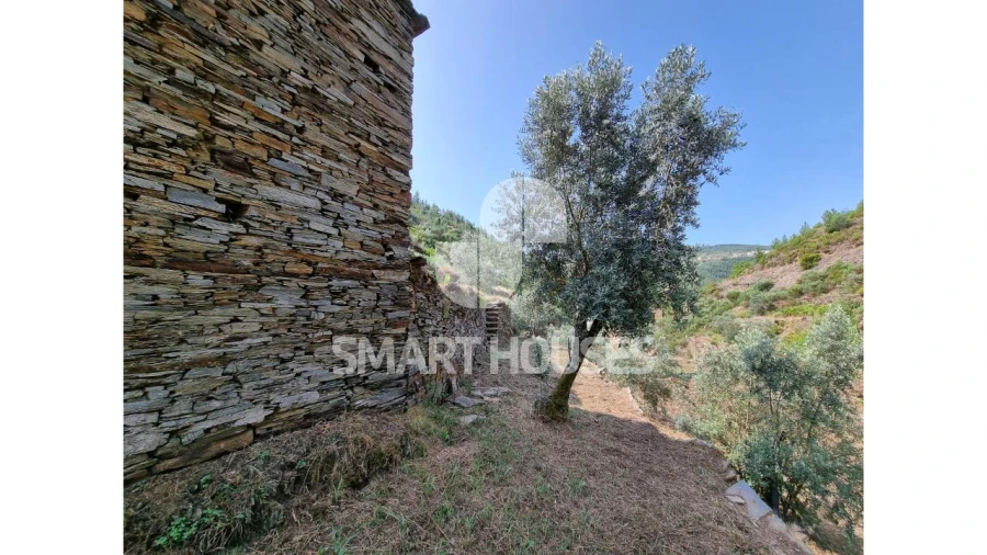 Quinta para Venda em Benfeita Foto 8