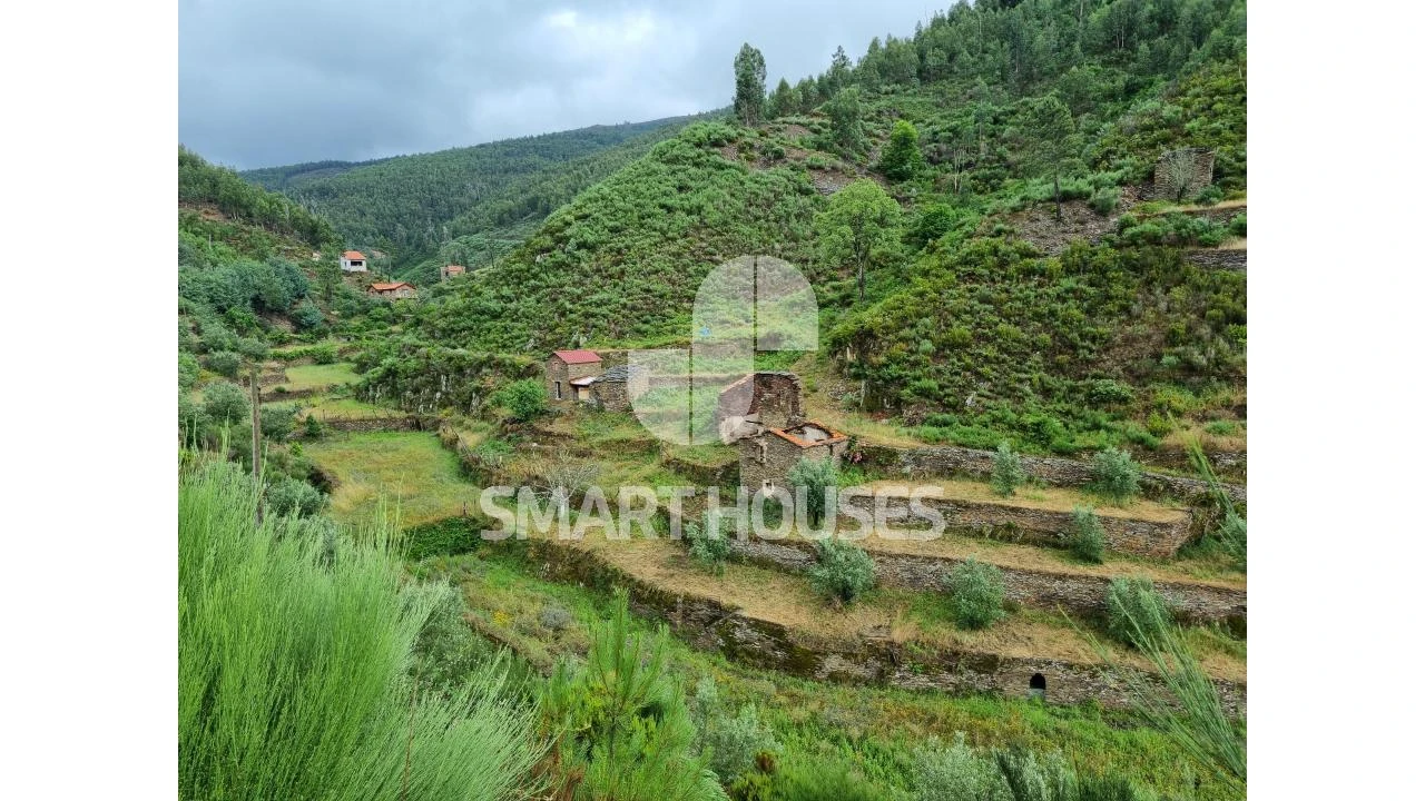 Quinta para Venda em Benfeita Foto 1