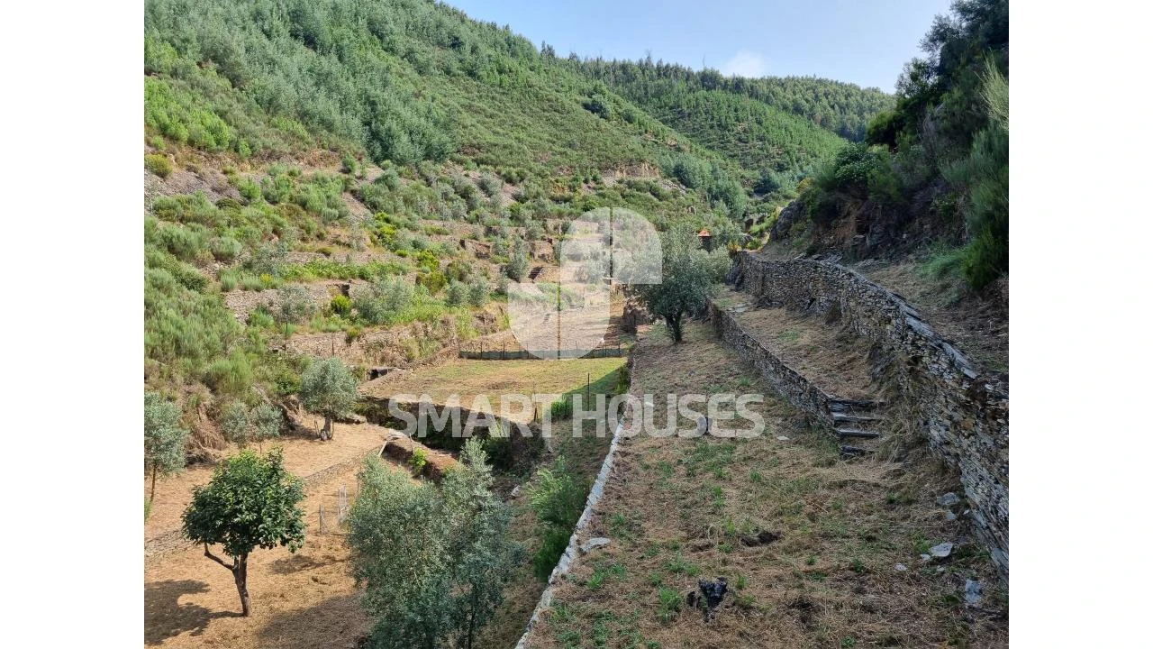 Quinta para Venda em Benfeita Foto 2