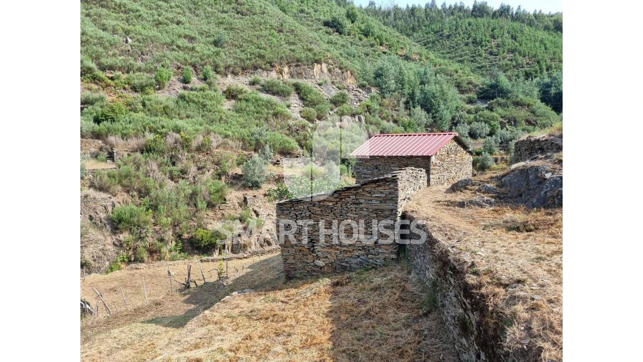 Quinta para Venda em Benfeita Foto 3
