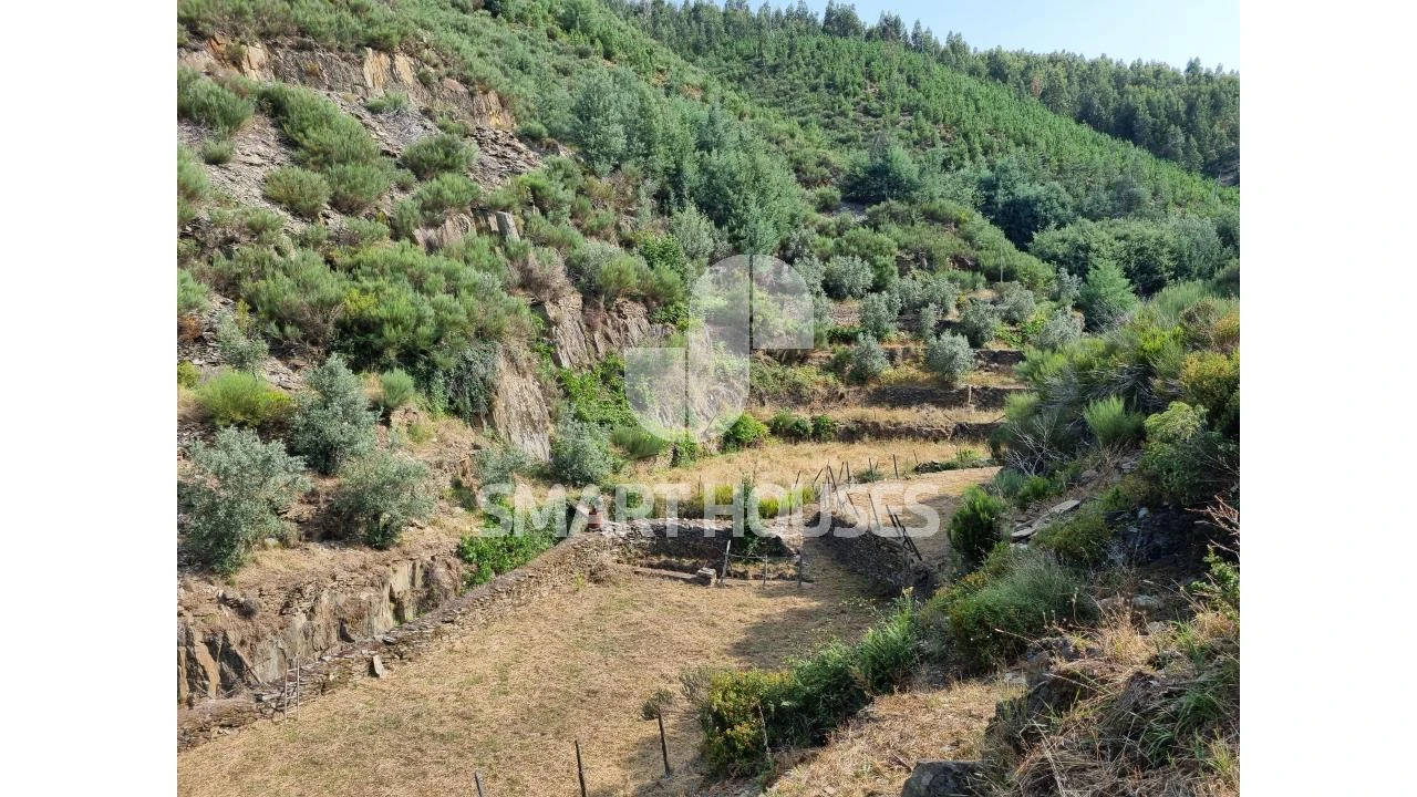 Quinta para Venda em Benfeita Foto 4