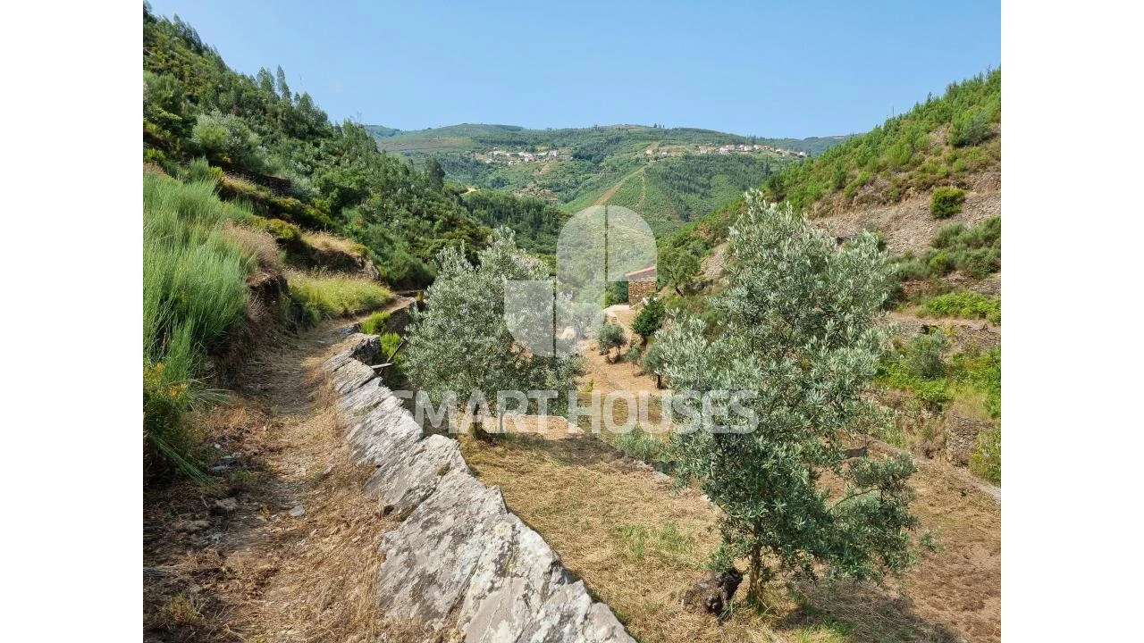 Quinta para Venda em Benfeita Foto 10