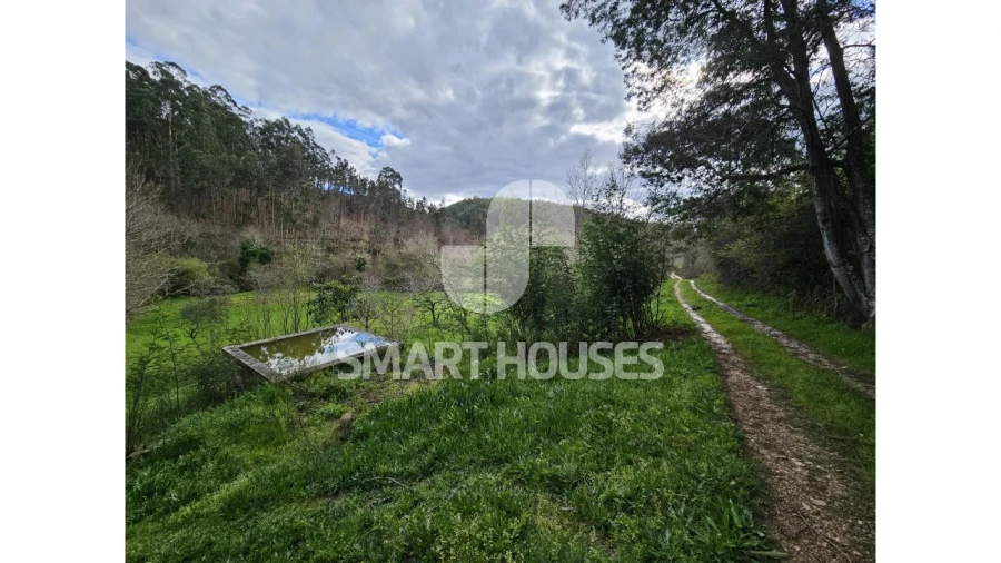 Moradia T1 para Venda em Arganil Foto 15