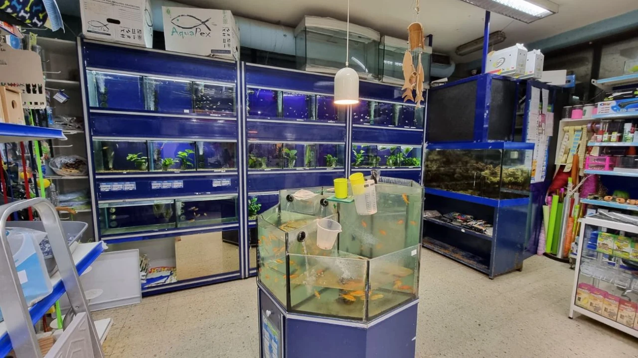 Negócio para Venda em Mafamude e Vilar do Paraíso Foto 3