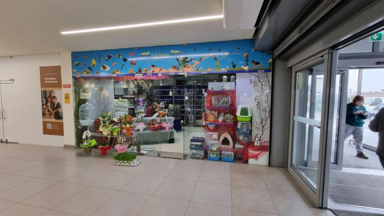 Negócio para Venda em Mafamude e Vilar do Paraíso Foto 4