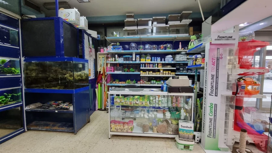 Negócio para Venda em Mafamude e Vilar do Paraíso Foto 2