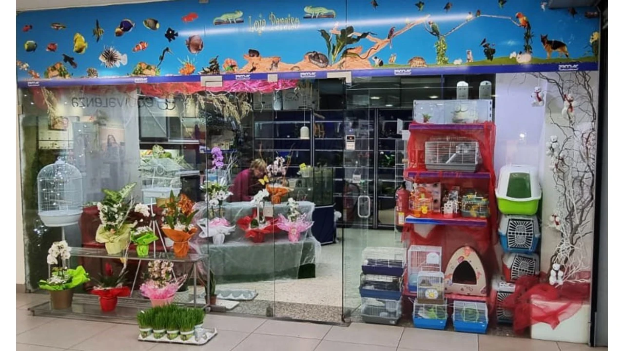 Negócio para Venda em Mafamude e Vilar do Paraíso Foto 5