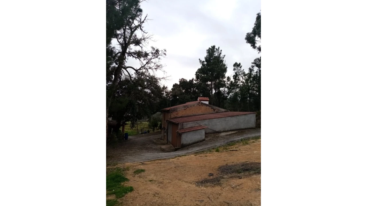 Quinta para Venda em Mação, Penhascoso e Aboboreira Foto 3