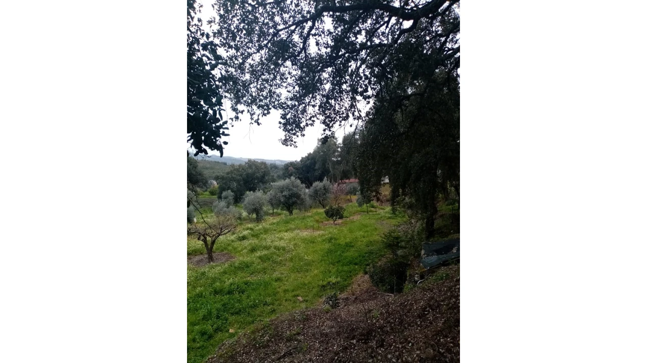 Quinta para Venda em Mação, Penhascoso e Aboboreira Foto 7