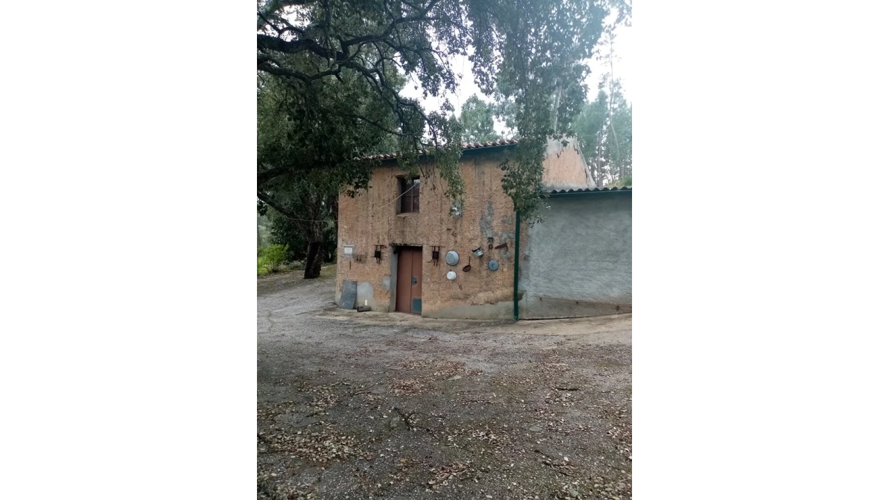 Quinta para Venda em Mação, Penhascoso e Aboboreira Foto 9