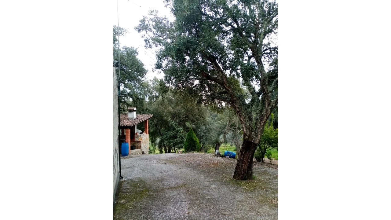 Quinta para Venda em Mação, Penhascoso e Aboboreira Foto 18