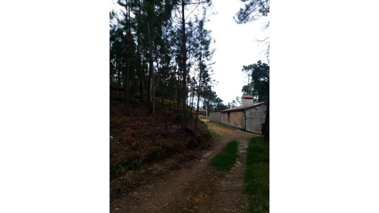 Quinta para Venda em Mação, Penhascoso e Aboboreira Foto 19