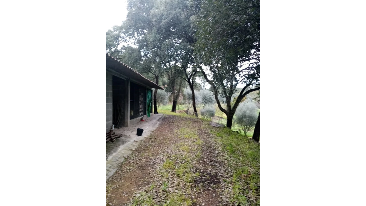 Quinta para Venda em Mação, Penhascoso e Aboboreira Foto 33