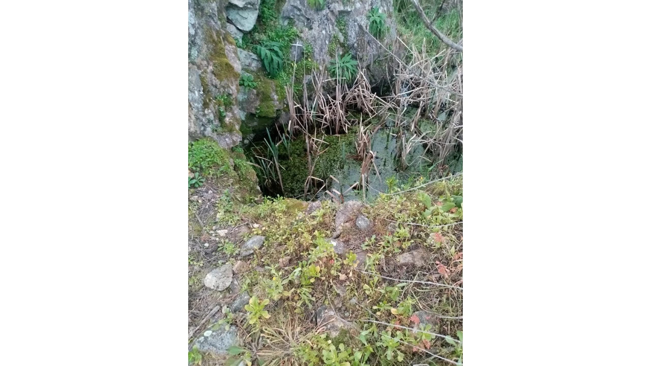 Quinta para Venda em Mação, Penhascoso e Aboboreira Foto 40