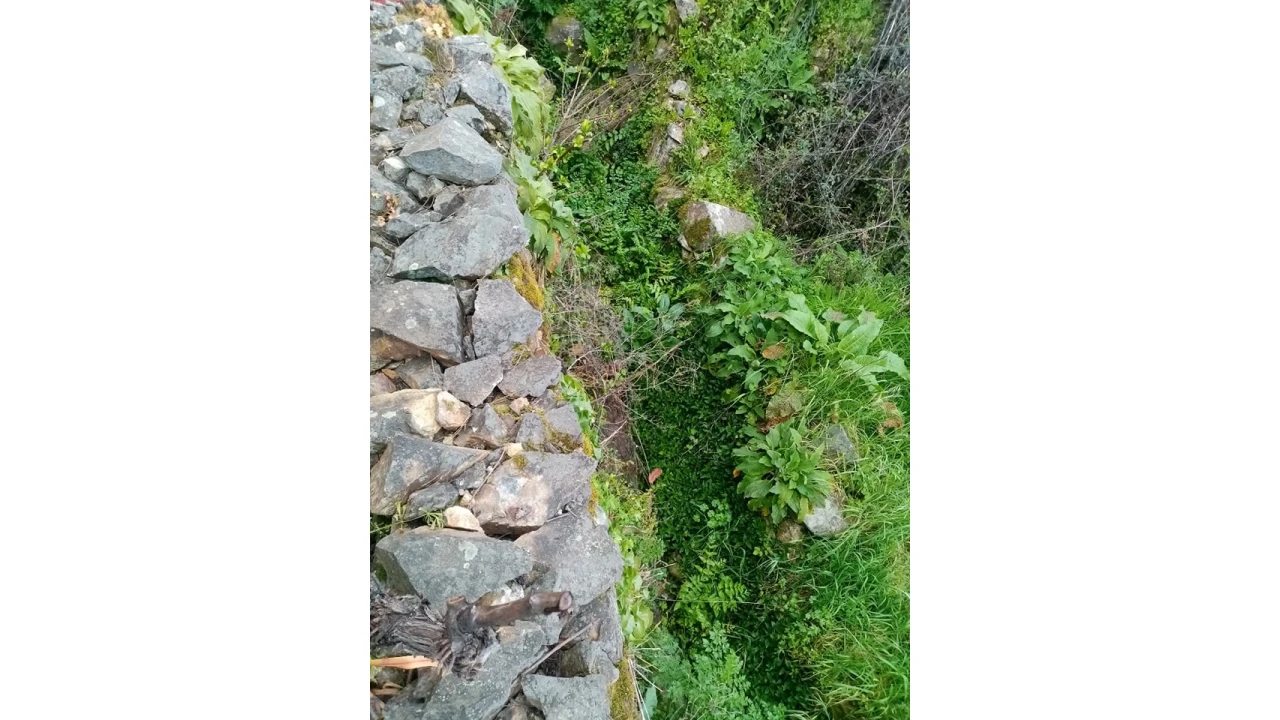 Quinta para Venda em Mação, Penhascoso e Aboboreira Foto 44