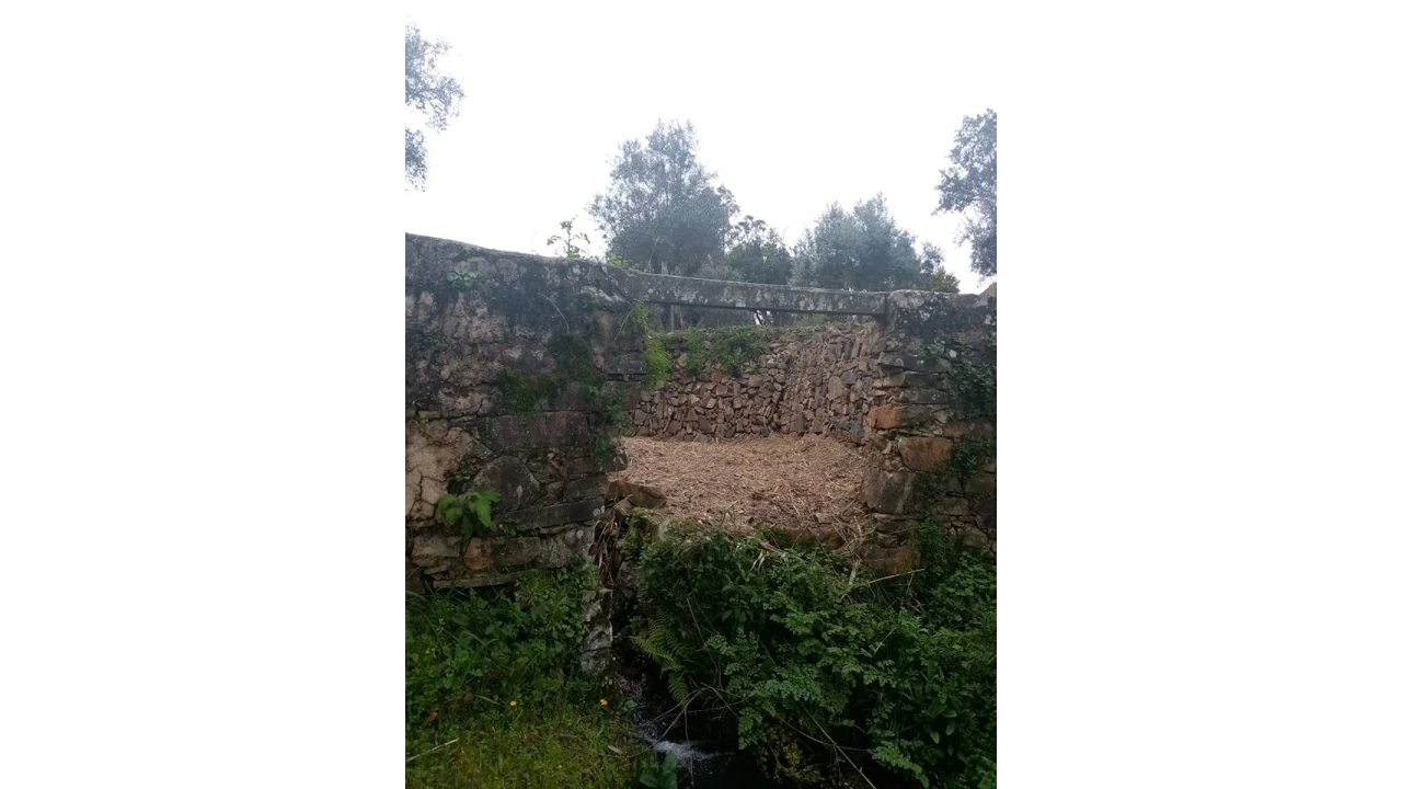 Quinta para Venda em Mação, Penhascoso e Aboboreira Foto 47