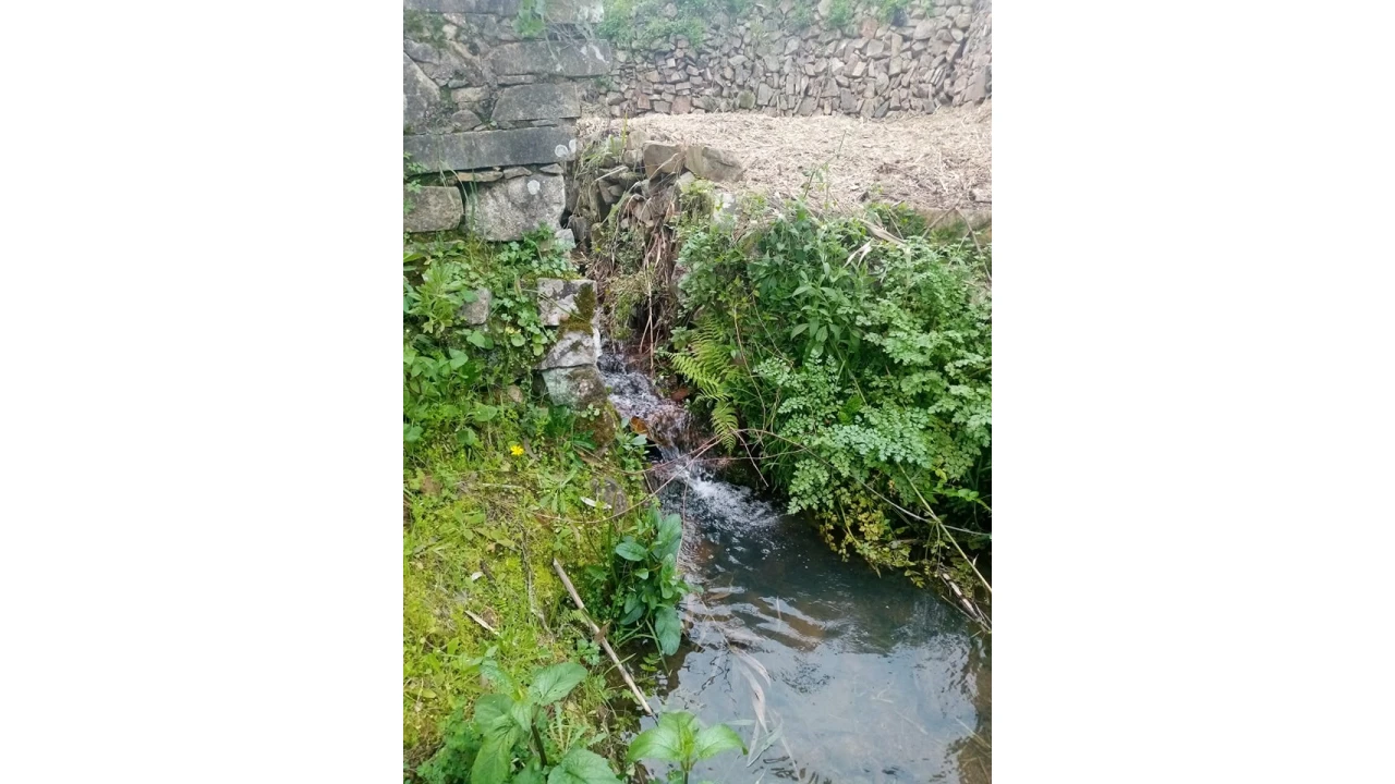 Quinta para Venda em Mação, Penhascoso e Aboboreira Foto 48