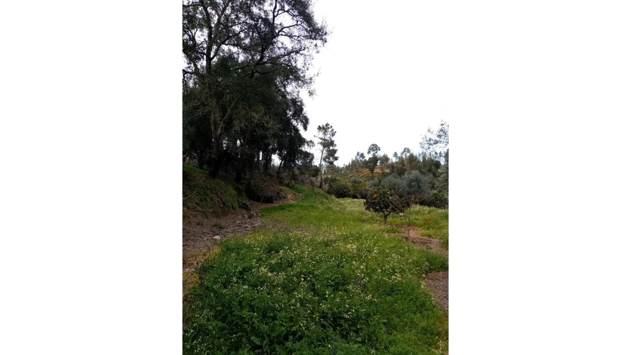 Quinta para Venda em Mação, Penhascoso e Aboboreira Foto 49