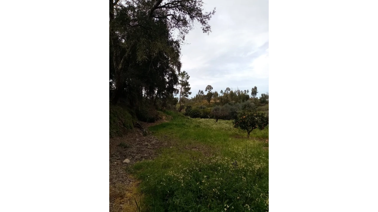 Quinta para Venda em Mação, Penhascoso e Aboboreira Foto 51