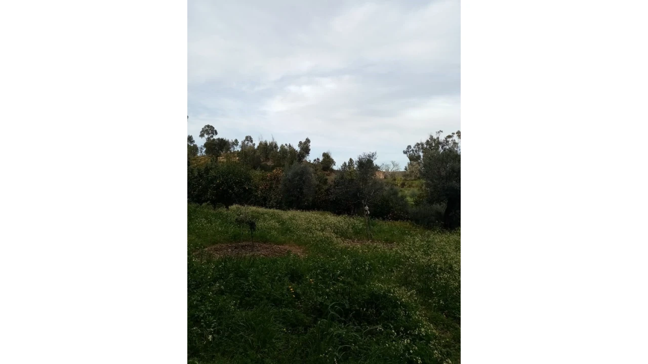 Quinta para Venda em Mação, Penhascoso e Aboboreira Foto 53