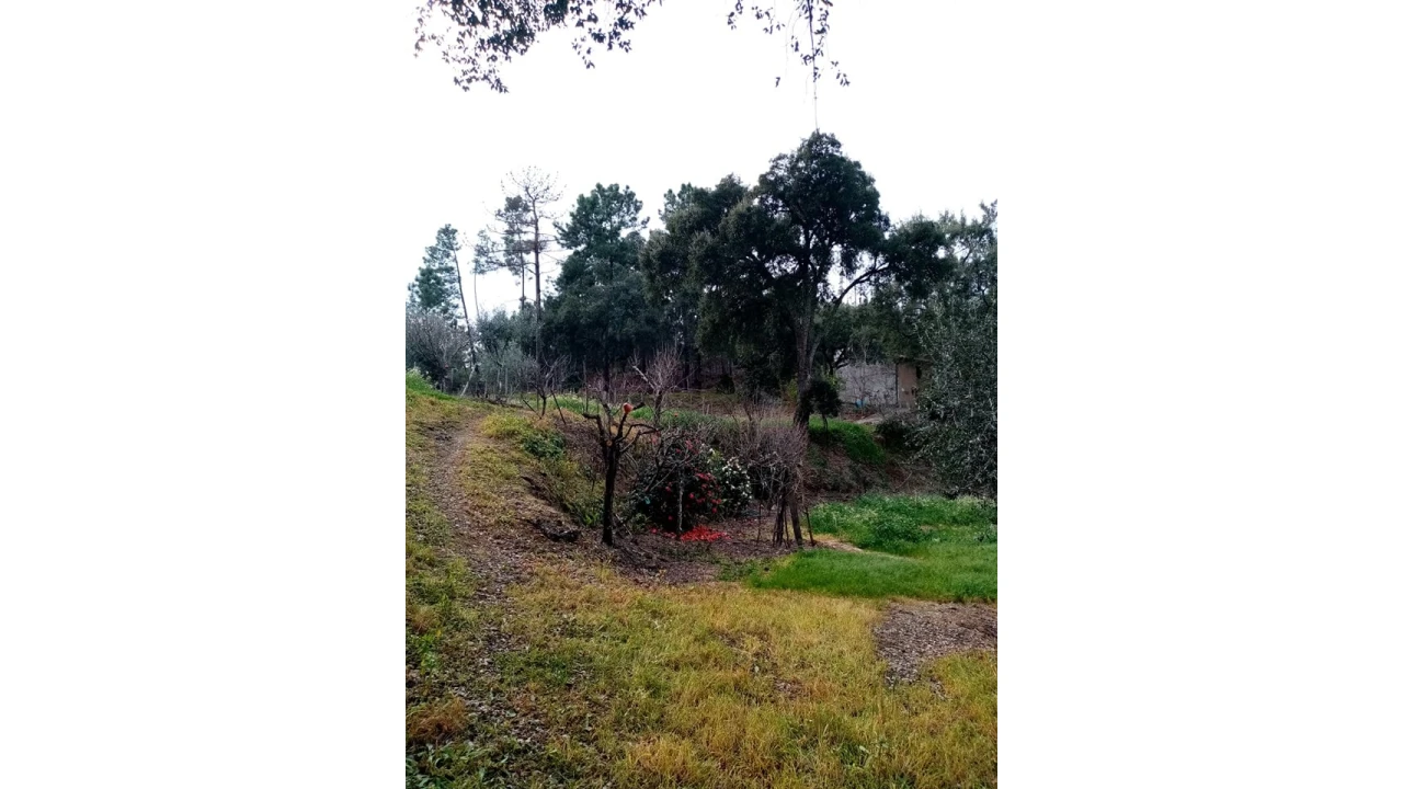 Quinta para Venda em Mação, Penhascoso e Aboboreira Foto 55