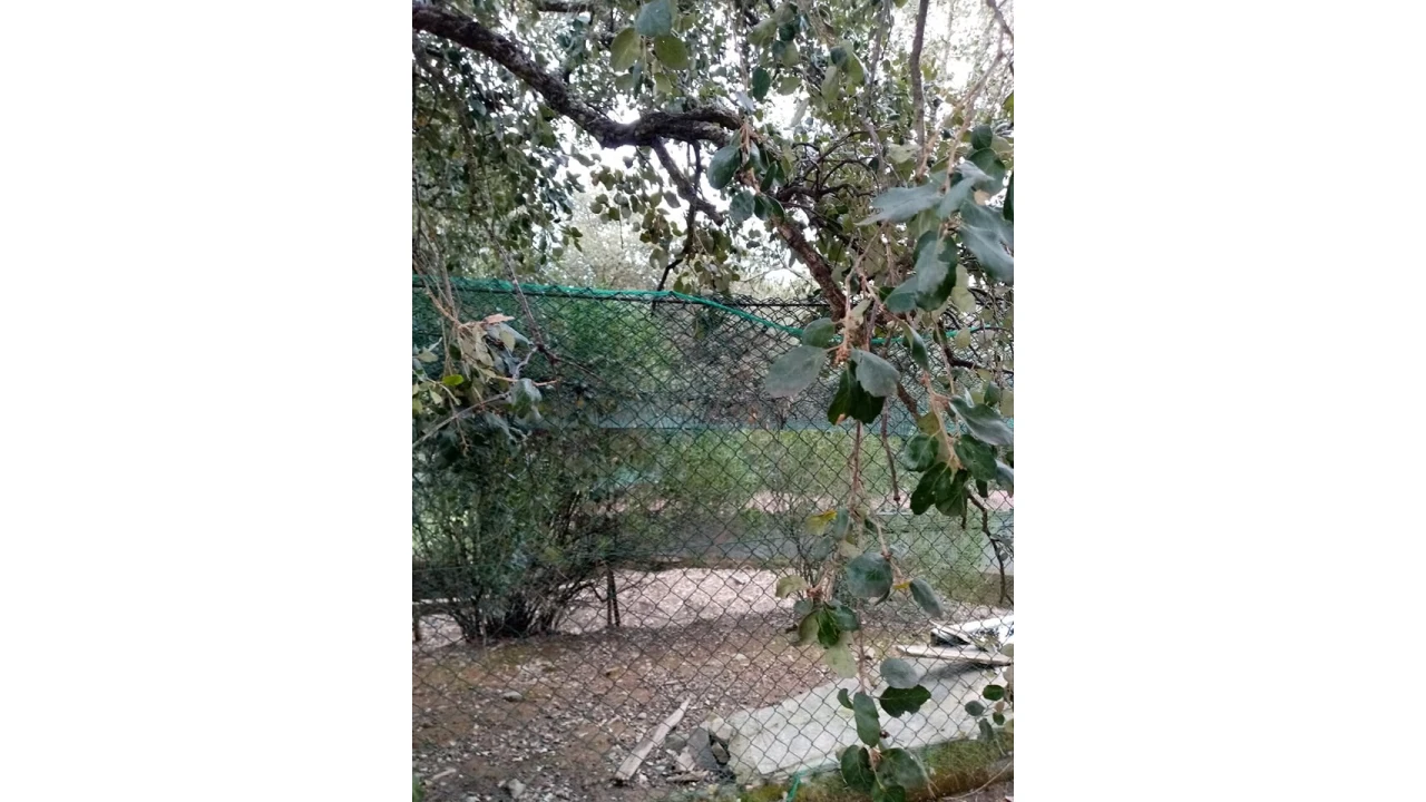 Quinta para Venda em Mação, Penhascoso e Aboboreira Foto 56